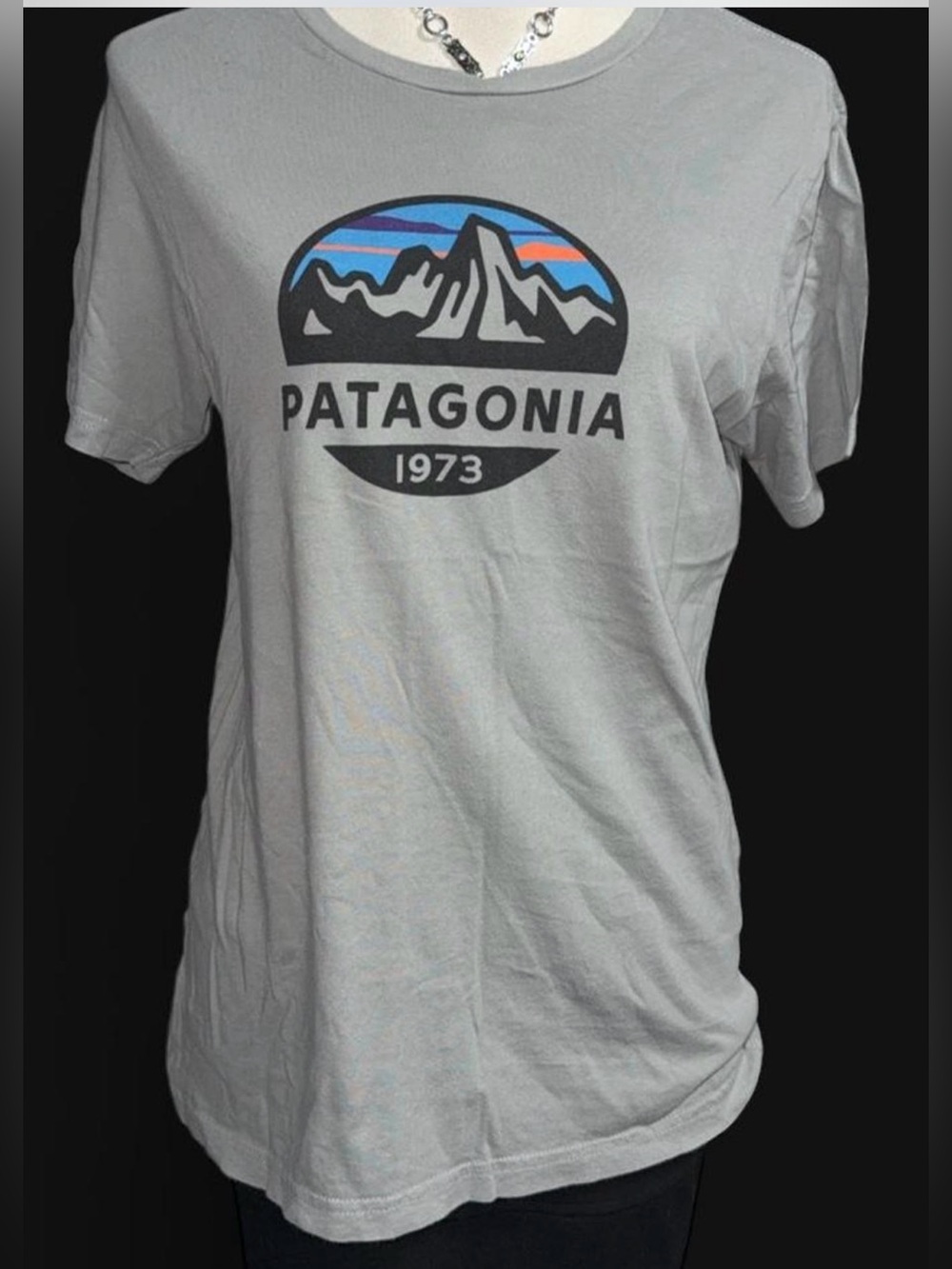 Patagonia Gray Tee with Multicolor Graphic